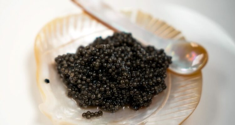 Paddlefish Caviar